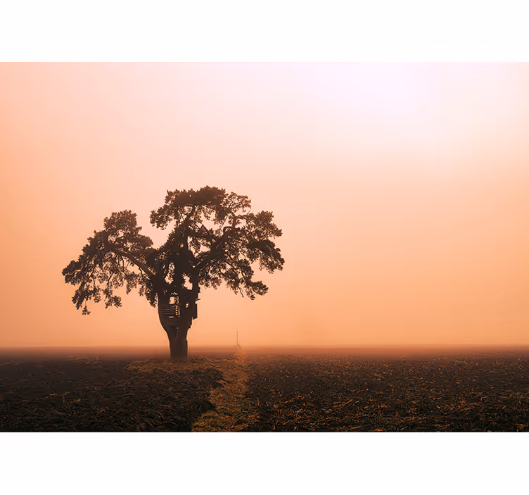 Tapisserie africaine arbre majestueux de la savane - TenStickers