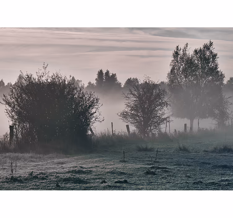 Tapisserie nature paysage forestier brumeux - TenStickers