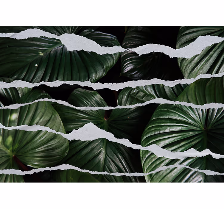 Tapisserie nature design feuillage luxuriant - TenStickers