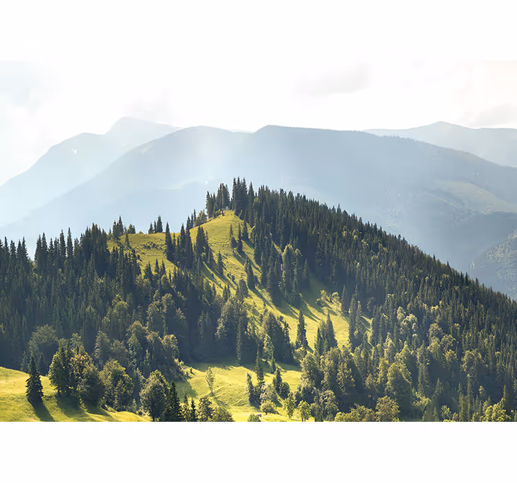 Papier peint mural montagne Champ vert et rocheux - TenStickers