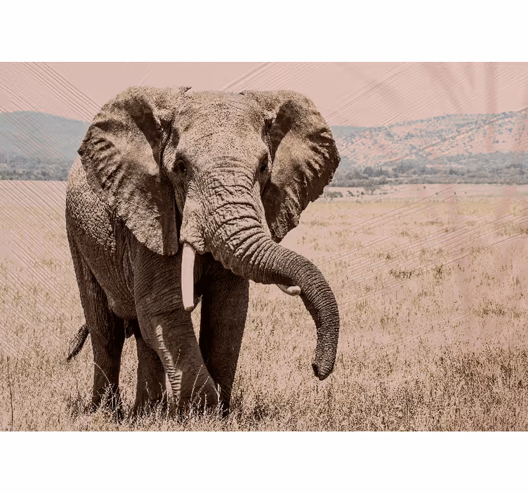 Papier peint mural Afrique Beau paysage éléphant - TenStickers