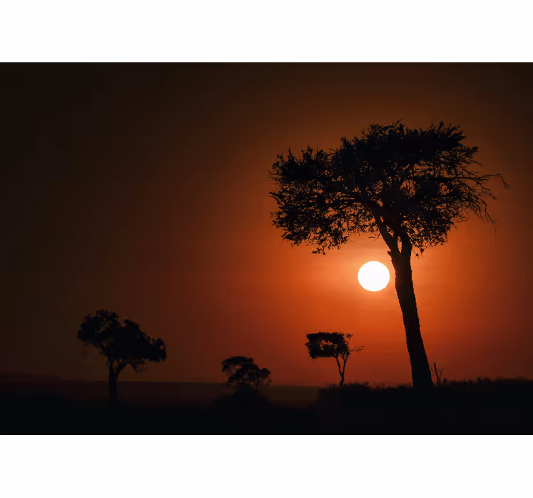 Papier peint mural Afrique Savane lumineuse ensoleillée - TenStickers