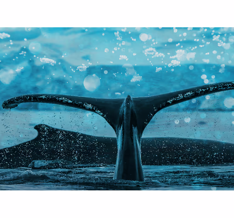 Tapisserie animaux Éclaboussure de queue de baleine - TenStickers