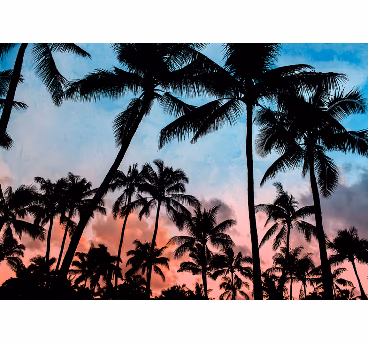 Tapisserie nature ombres de palmiers tropicaux - TenStickers