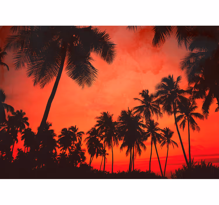 Papier peint mural arbres Photographie de palmiers - TenStickers