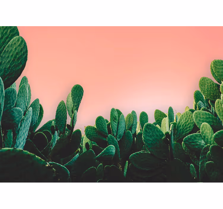 Papier peint moderne Cactus sur corail vivant - TenStickers