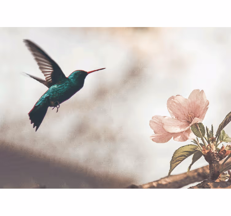 Tapisserie animaux colibri et fleurs - TenStickers
