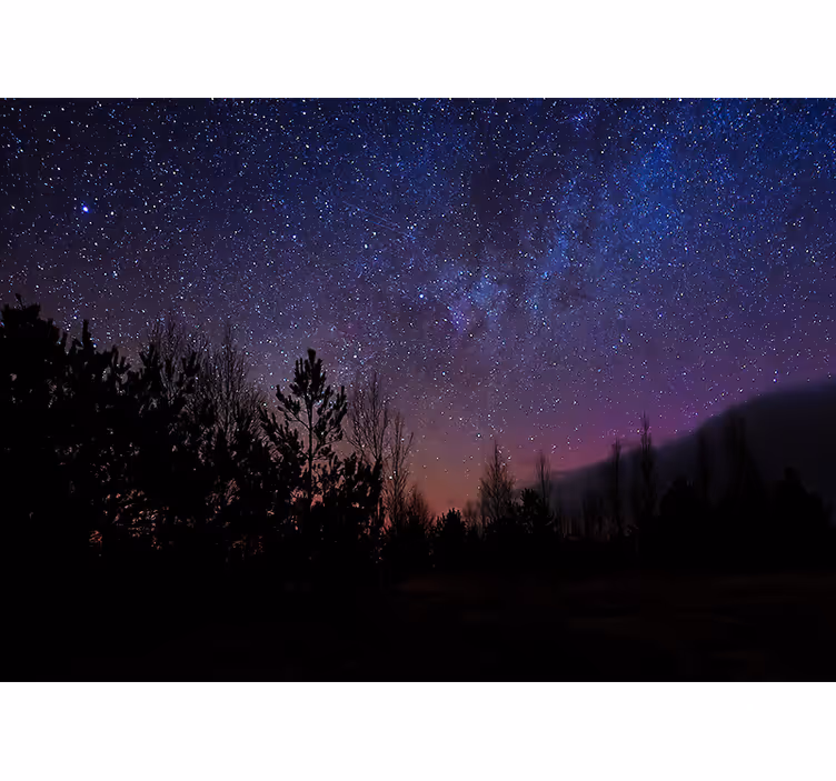 Papier peint salon étoiles dans la forêt - TenStickers
