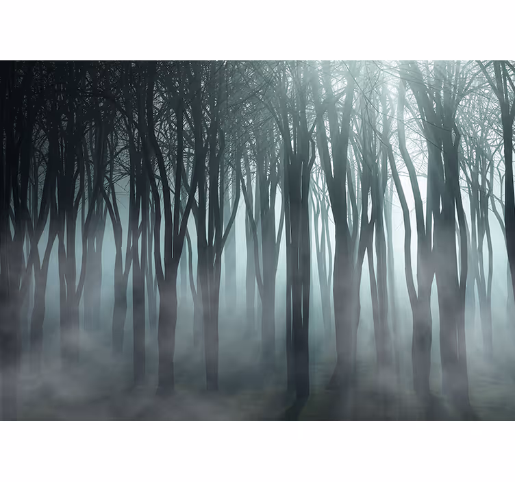 Tapisserie forêt silhouette d'arbres brumeux - TenStickers