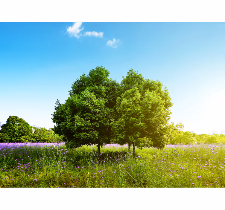 Tapisserie nature arbres verts luxuriants - TenStickers