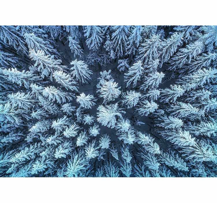 Tapisserie nature forêt de pins gelée - TenStickers