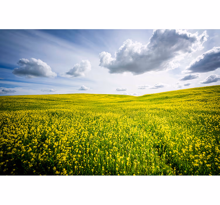 Tapisserie nature champ vert vaste - TenStickers