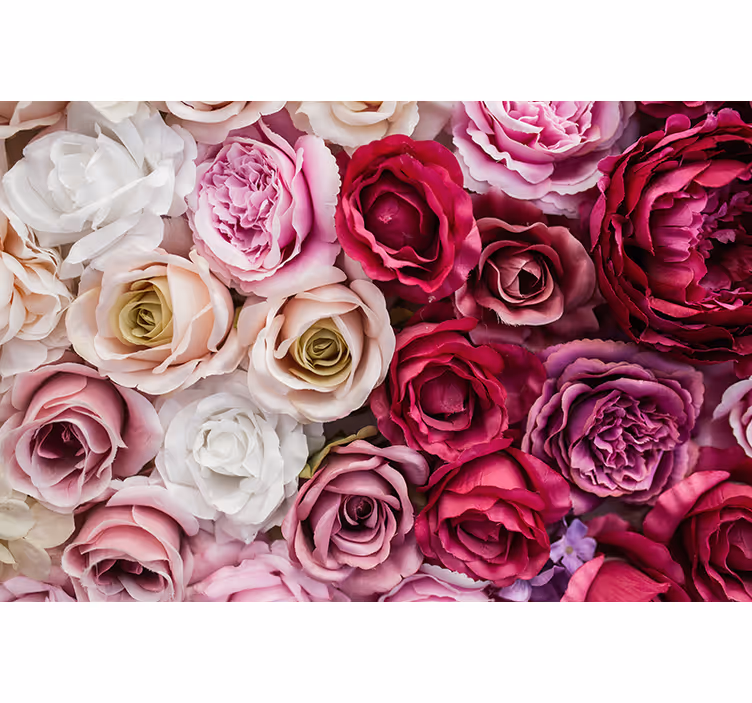 Tapisserie fleur collection de belles roses - TenStickers