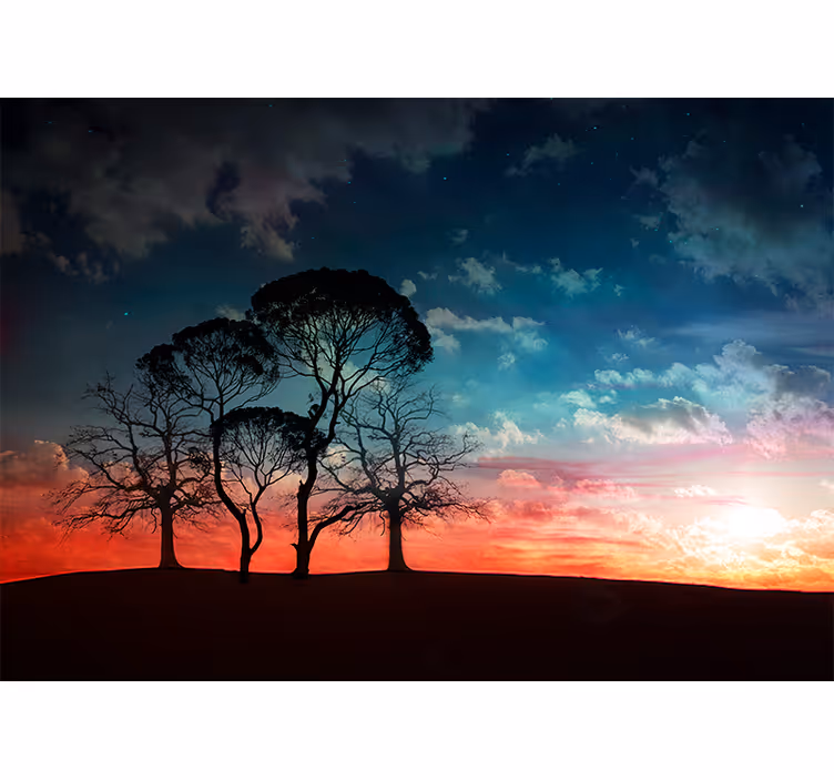 Papier peint nature Coucher soleil et arbres - TenStickers