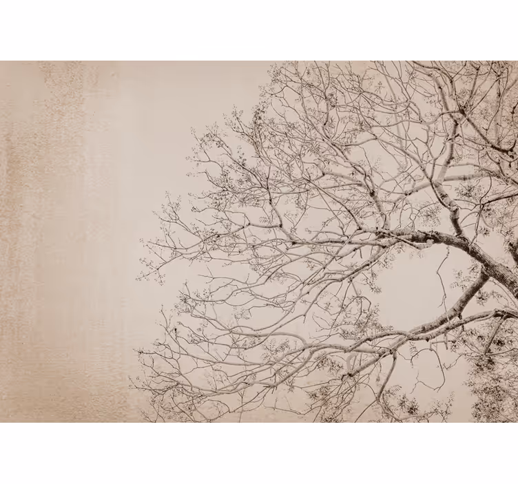 Tapisserie arbre silhouette de branches élégante - TenStickers