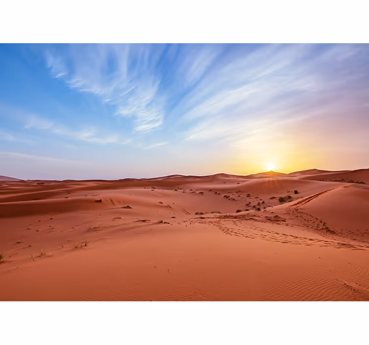Papier peint mural desert Désert devant un lever de soleil - TenStickers