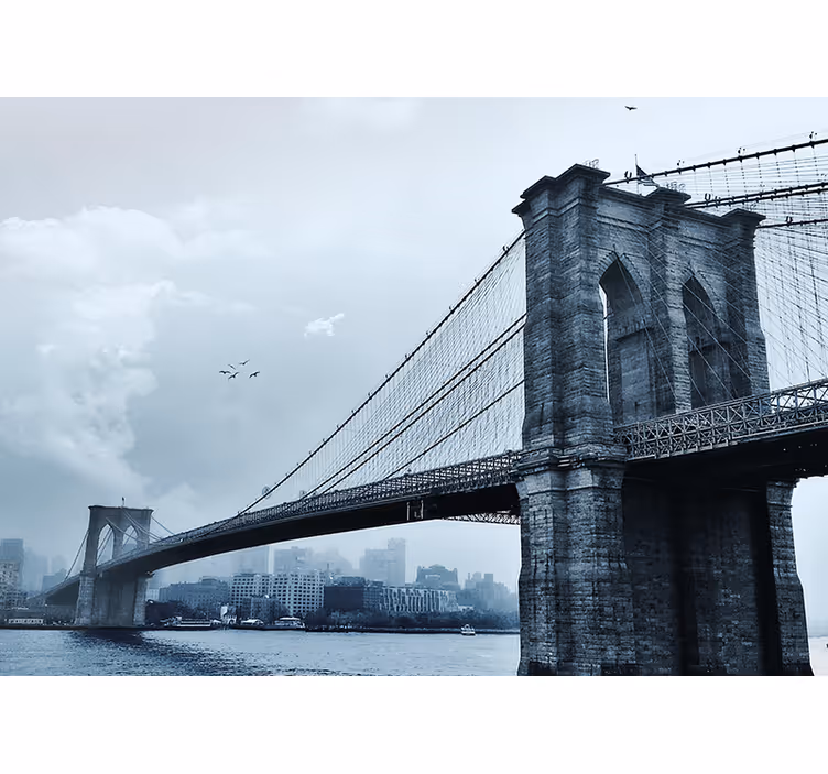 Papier peint new york Pont de manhattan hiver - TenStickers
