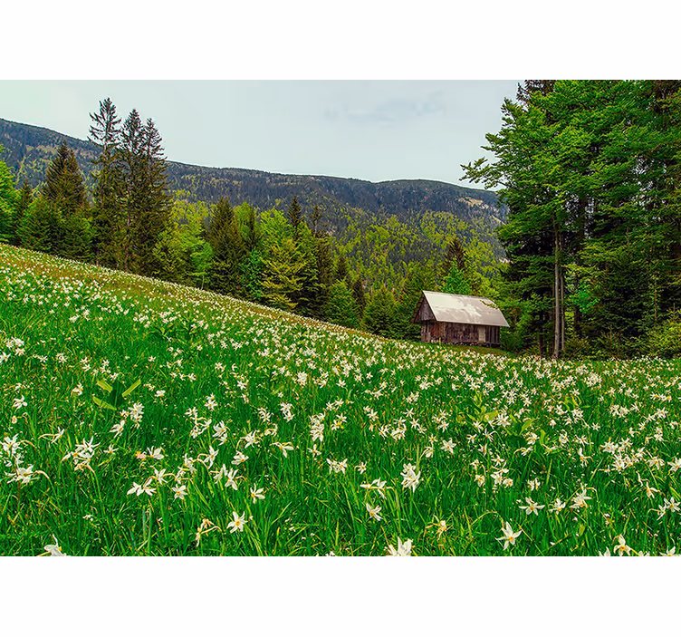 Tapisserie nature paysage pastoral serein - TenStickers