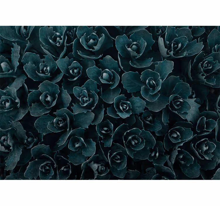 Tapisserie fleur rose Élégante en Épanouissement - TenStickers