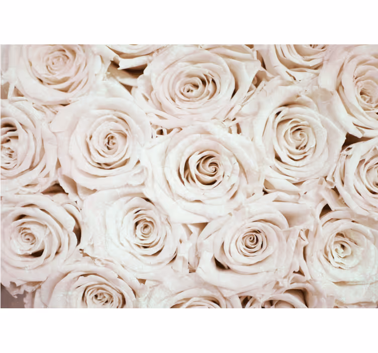 Papier peint mural roses Conception de fleurs élégantes - TenStickers