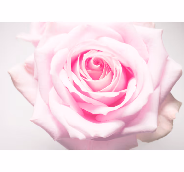 Tapisserie coquelicots rose pâle - TenStickers