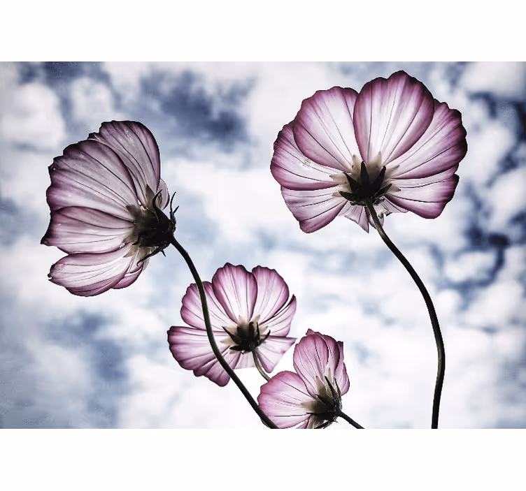 Tapisserie fleur beauté florale délicate - TenStickers