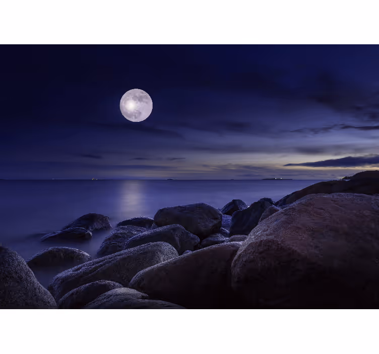 Tapisserie ciel paysage maritime illuminé par la lune - TenStickers