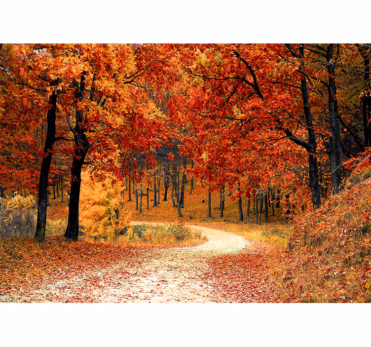 Tapisserie nature chemin forestier d'automne - TenStickers