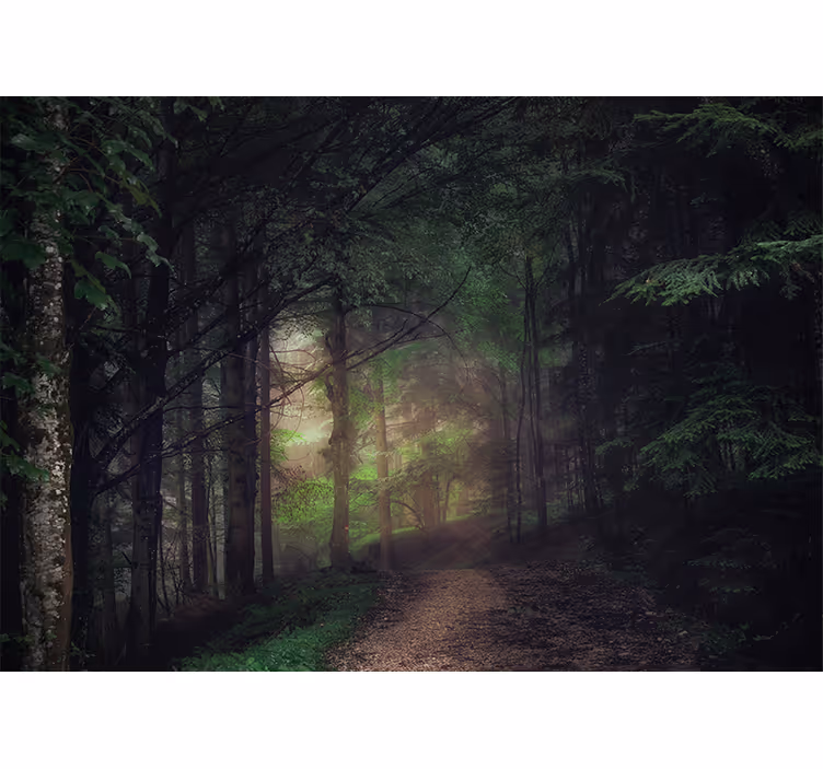 Tapisserie forêt chemin paisible - TenStickers