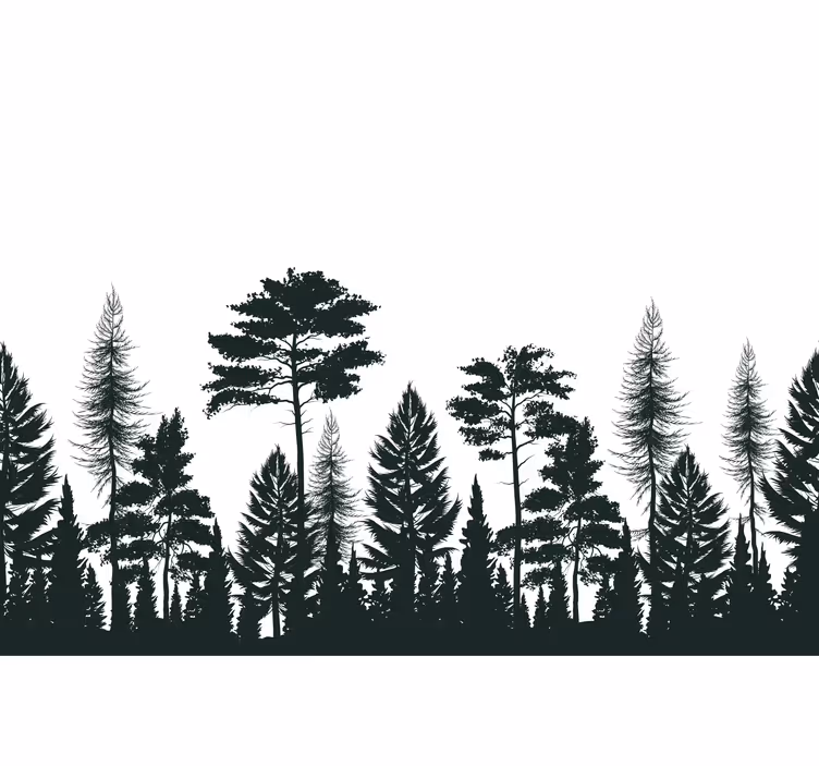Tapisserie nature arbres persistants en silhouette - TenStickers