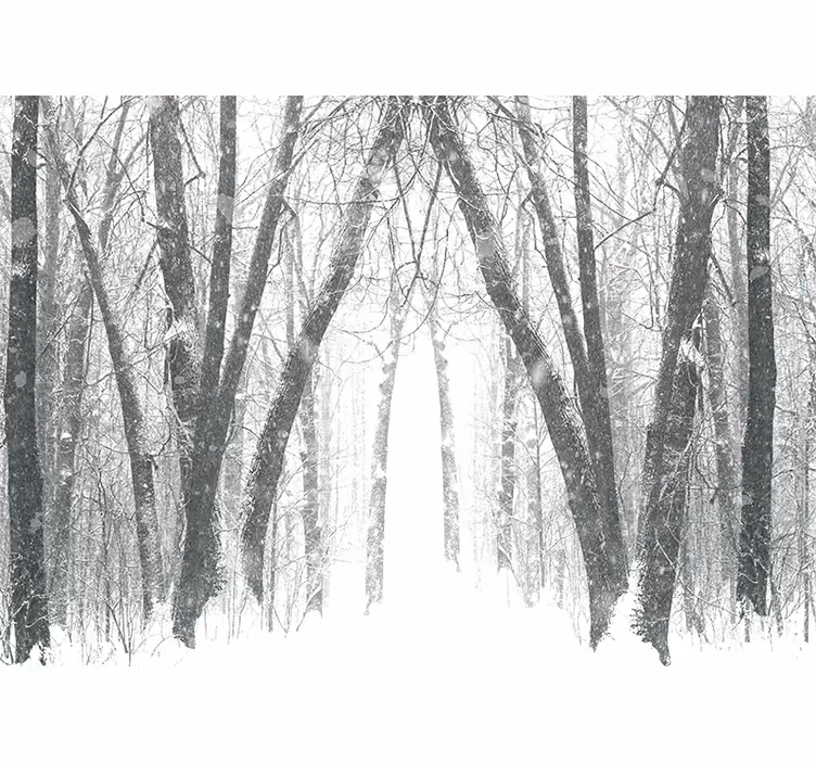 Tapisserie forêt sentier forestier enneigé - TenStickers
