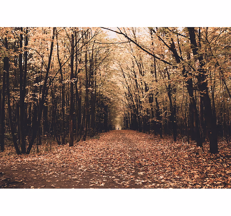 Tapisserie forêt vue sur le chemin d'automne - TenStickers
