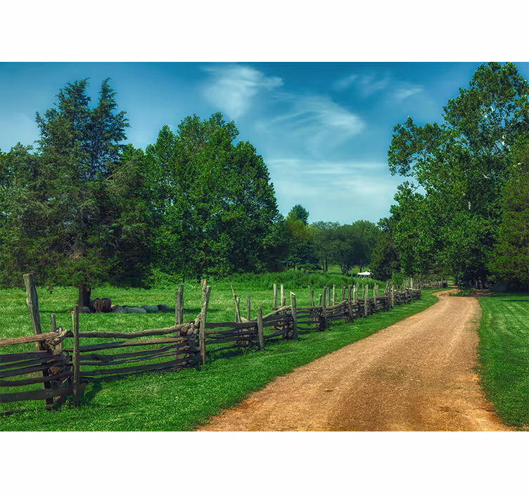 Tapisserie paysage chemin verdoyant vibrant - TenStickers