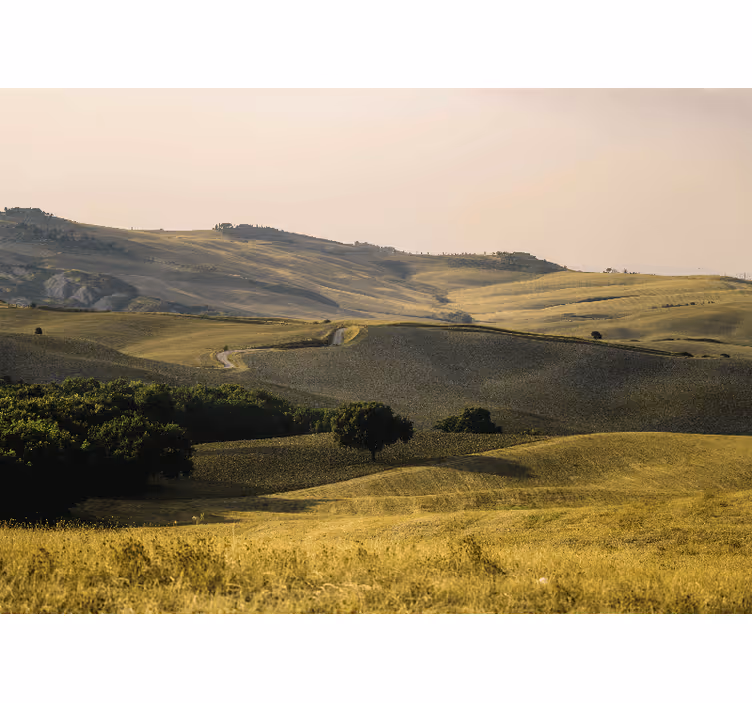 Tapisserie paysage collines ondulantes - TenStickers