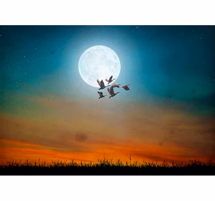 Tapisserie nature ciel nocturne en velours - TenStickers