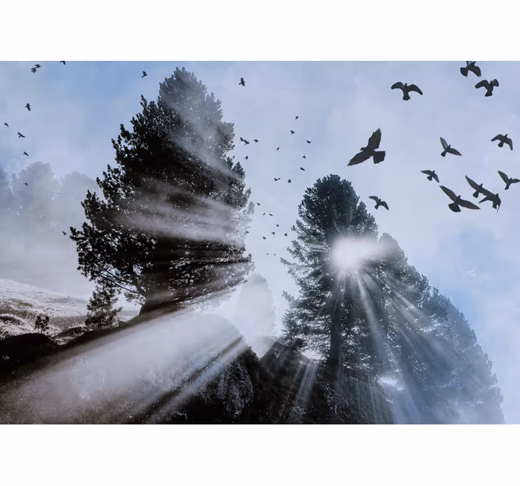 Tapisserie forêt rayons de soleil radieux avec des oiseaux - TenStickers