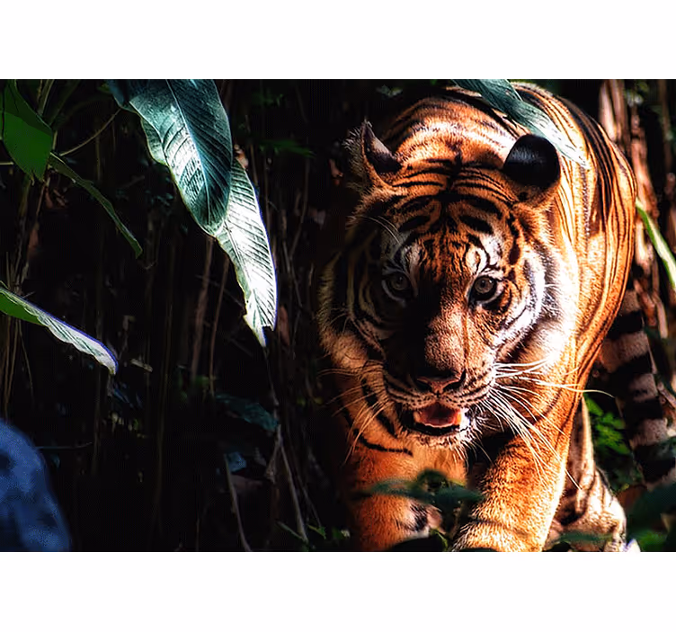 Papier peint mural d'animaux Tigre marchant dans la jungle - TenStickers