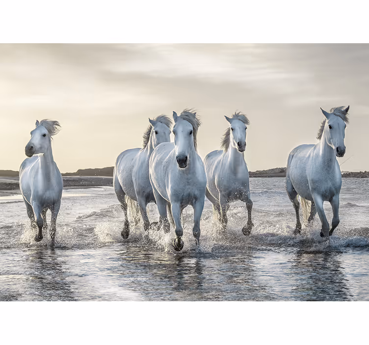 Tapisserie murale d'animaux chevaux blancs et bruns courant sur l - TenStickers