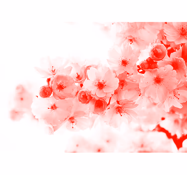 Tapisserie fleur fleurs en fleurs - TenStickers