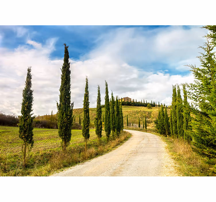 Tapisserie nature vue sur la campagne toscane - TenStickers