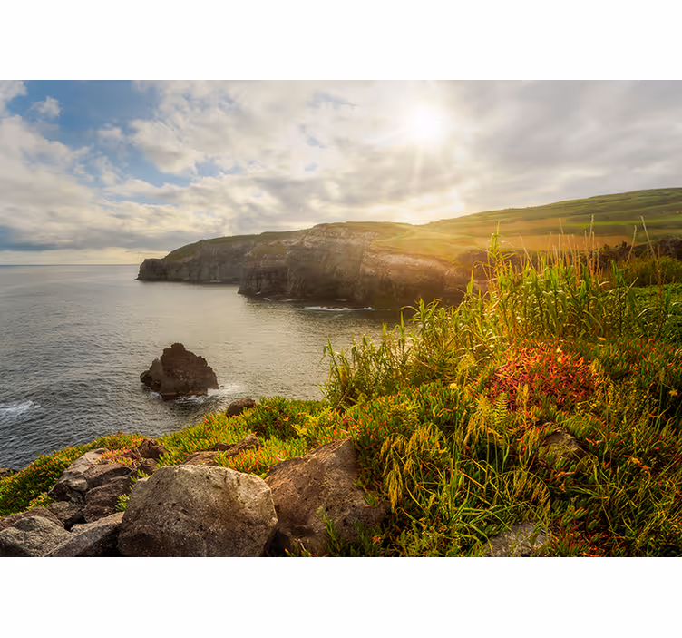 Tapisserie paysage vue sur les falaises côtières - TenStickers