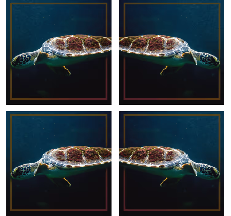Dessous de verre moderne image de tortue de mer élégante - TenStickers
