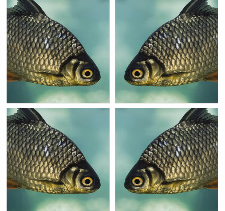 Dessous de verre geek avec images de poissons réalistes - TenStickers