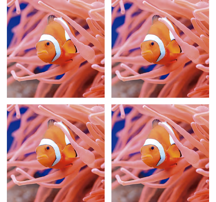 Dessous de verre Poisson clown - TenStickers