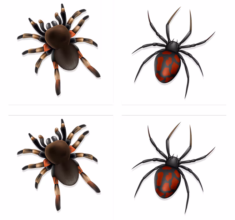 Dessous de verre halloween collection araignées effrayantes - TenStickers