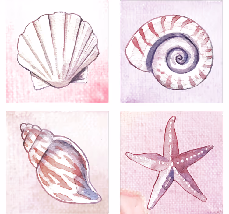 Dessous de verre aquarelles de coquillages naturels - TenStickers