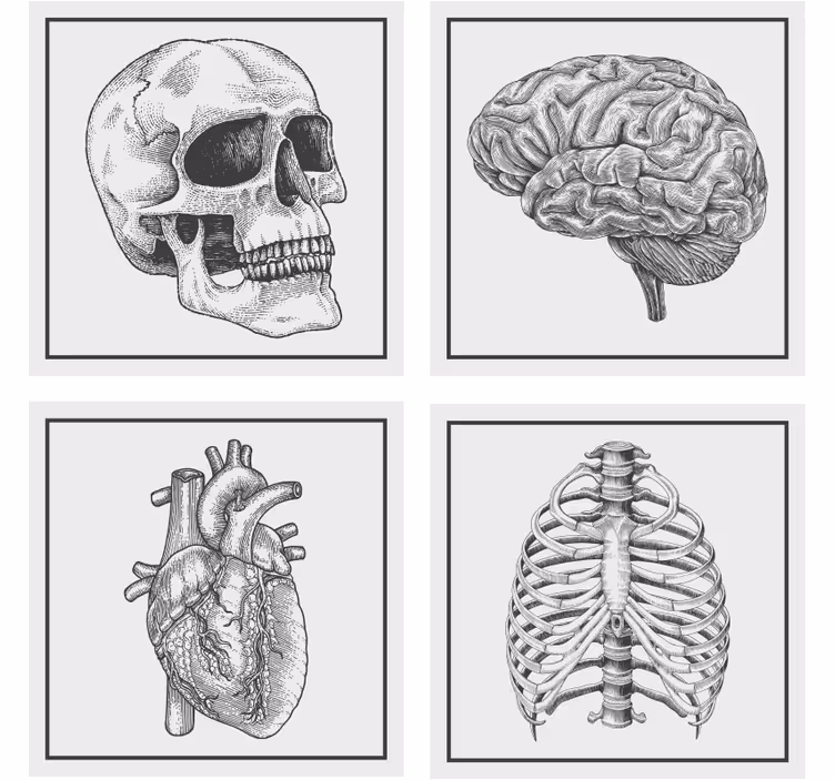 Os effrayants halloween dessous de verre - TenStickers