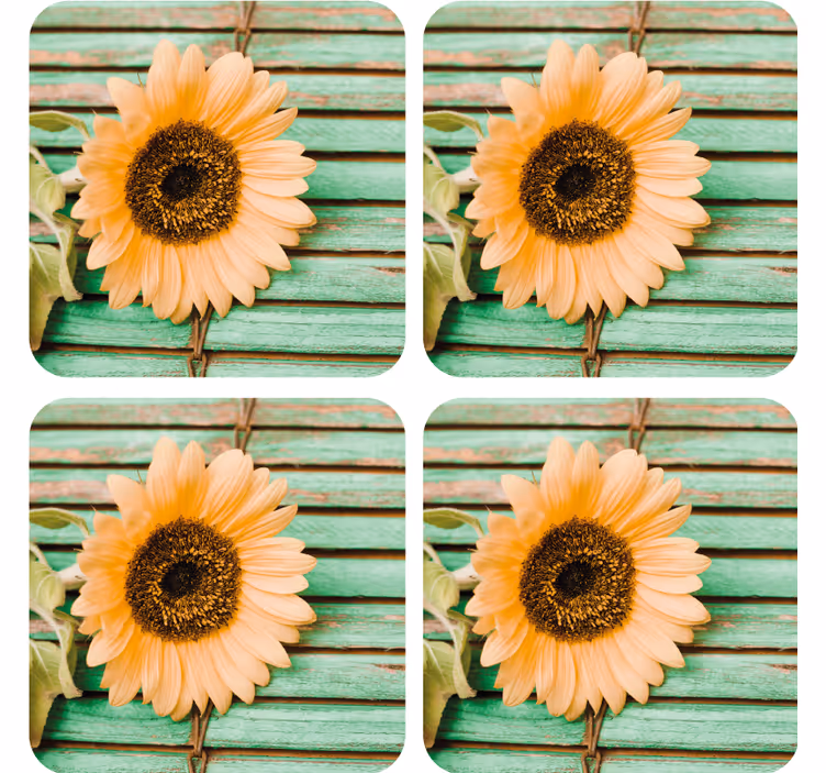 Dessous de verre moderne tournesol sur fond vert - TenStickers