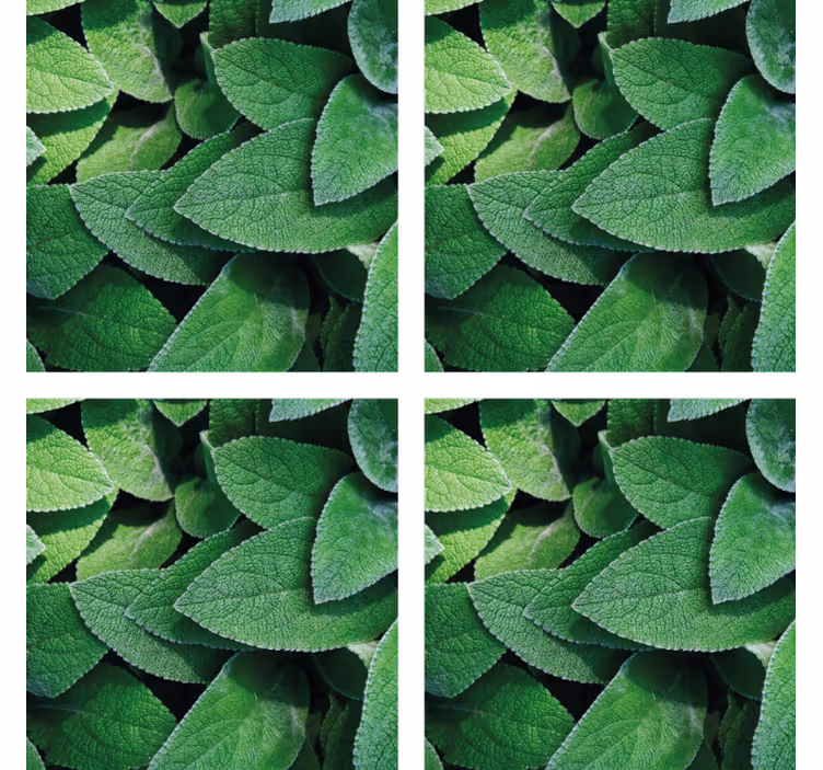 Dessous de verre motif feuilles vertes vibrantes - TenStickers