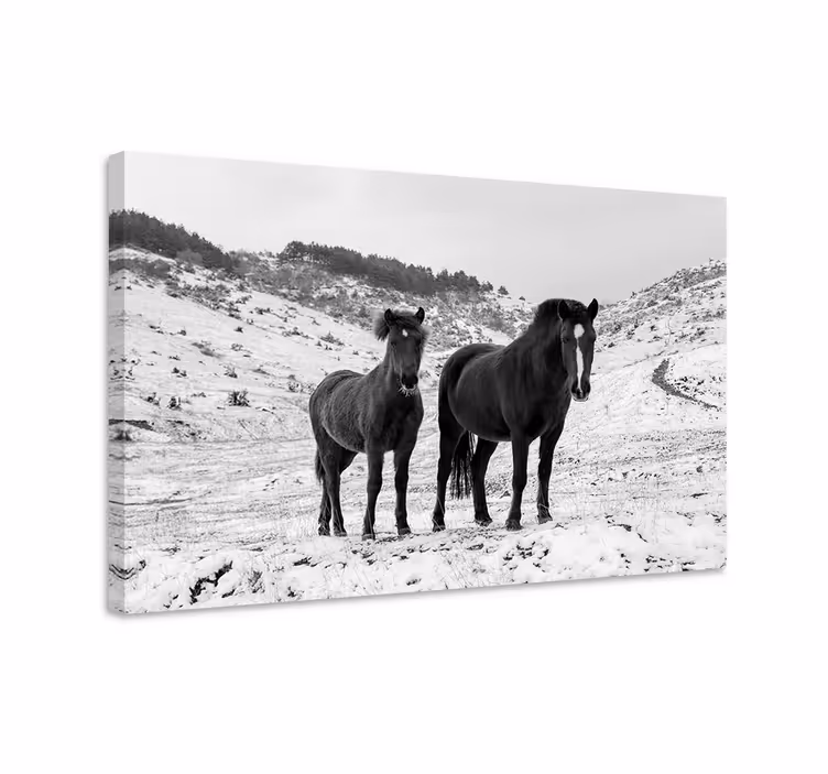 Tableau chevaux dans la neige - TenStickers